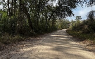 More details for TBD 59th Dr, Wellborn, FL - Land for Sale