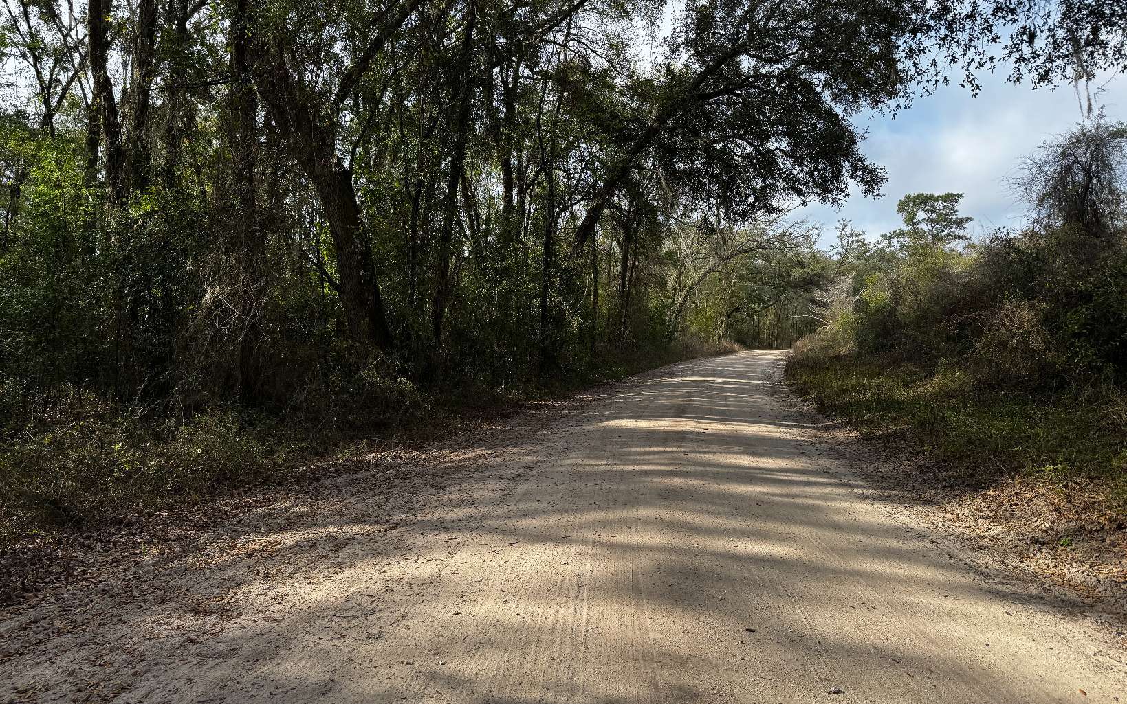 TBD 59th Dr, Wellborn, FL for sale Primary Photo- Image 1 of 7