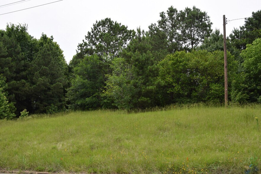 #1 Main, Minden, LA for sale - Other - Image 2 of 8