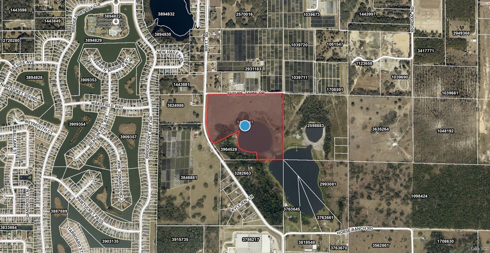 Future Farm & Britt Rd, Mount Dora, FL à vendre - Aérien - Image 1 de 6