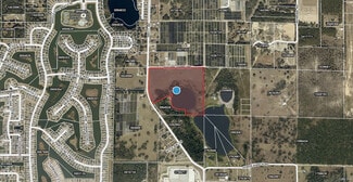More details for Future Farm & Britt Rd, Mount Dora, FL - Land for Sale