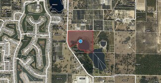 Plus de détails pour Future Farm & Britt Rd, Mount Dora, FL - Terrain à vendre
