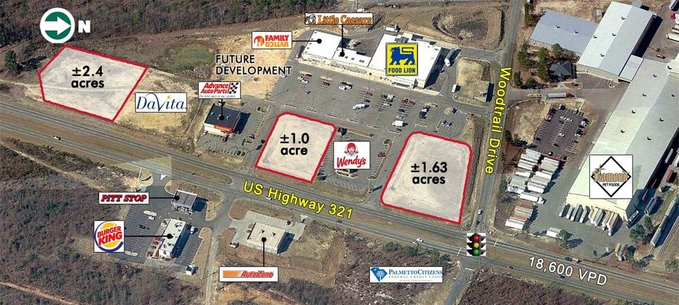 Hwy 321, Gaston, SC for sale - Primary Photo - Image 1 of 8