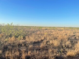 More details for 0100 COUNTY RD 1040, Midland, TX - Land for Sale