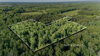 Plus de détails pour 151 Spence Store Loop, Holladay, TN - Terrain à vendre