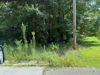 Plus de détails pour 126 Carol Cir, Talladega, AL - Terrain à vendre
