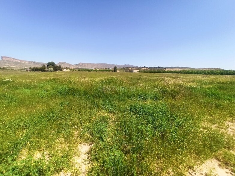 Vereda, 246, Jumilla, Murcia à vendre - Photo principale - Image 1 de 11