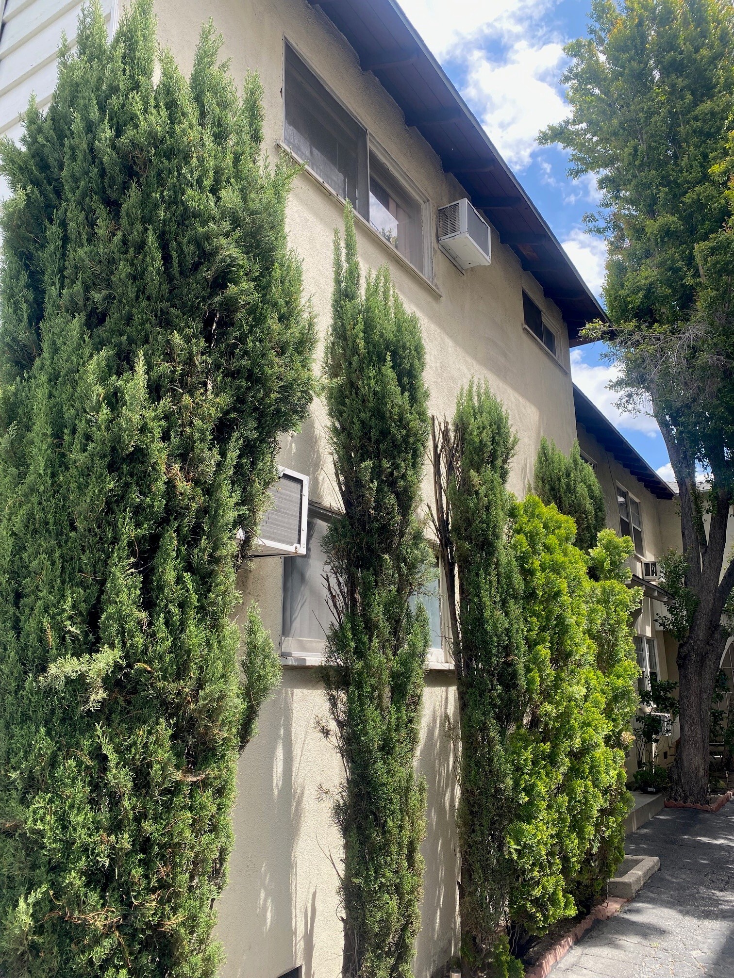 6254 Whitsett Ave, North Hollywood, CA for sale Primary Photo- Image 1 of 14