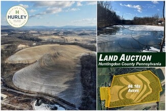 Plus de détails pour 5179 Ormsby Road, Petersburg, PA - Terrain à vendre