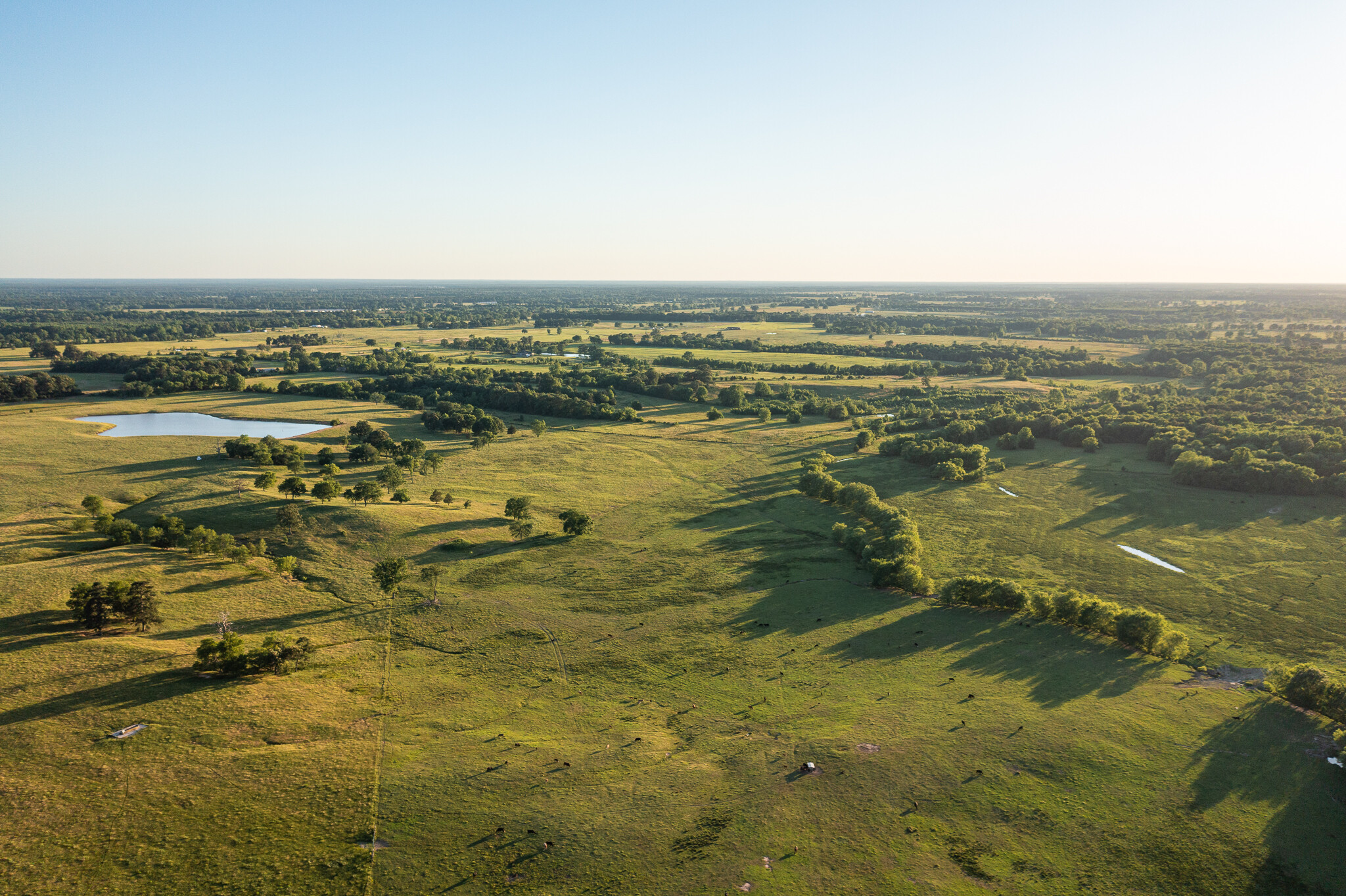 1437 FM 44 W, De Kalb, TX for sale Primary Photo- Image 1 of 71