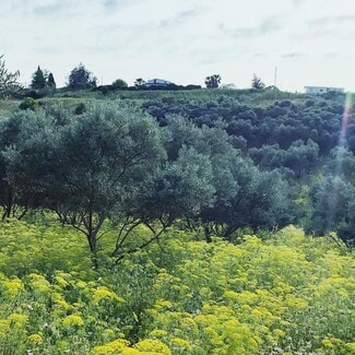 More details for Lugar Polígono 32, 30, Cártama - Land for Sale