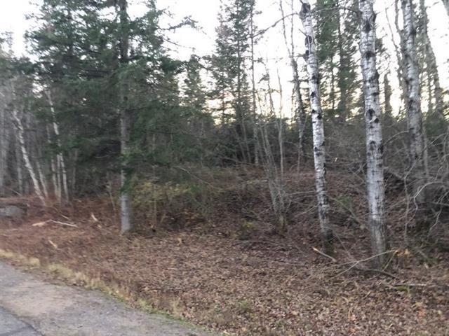 4300 Rang Saint-André, Saint-cuthbert, QC à vendre Photo principale- Image 1 de 1