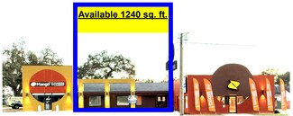 Plus de détails pour 11923 E Dr Martin Luther King Jr Blvd, Seffner, FL - Commerce de détail à louer