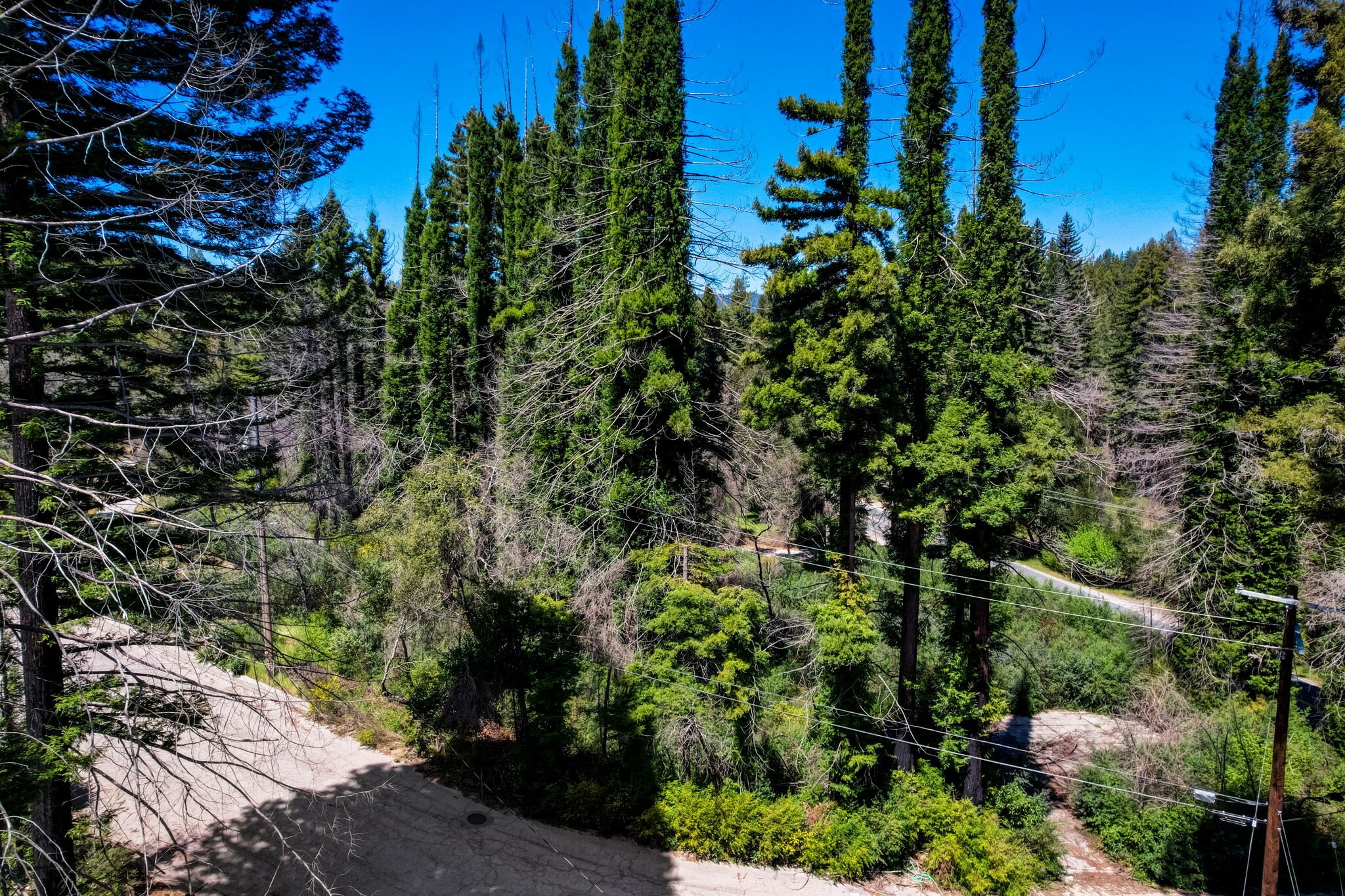 0 Fallen Leaf Drive, Boulder Creek, CA for sale Aerial- Image 1 of 39