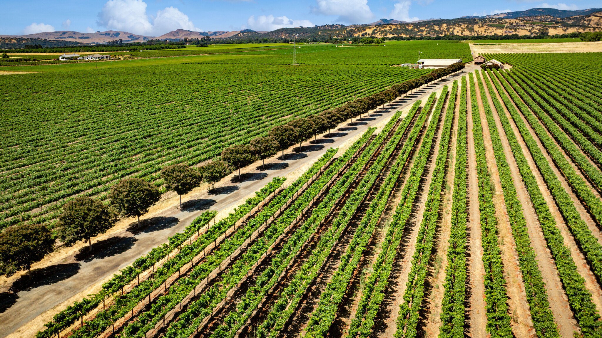 4591 Abernathy Rd, Fairfield, CA à vendre Photo principale- Image 1 de 10