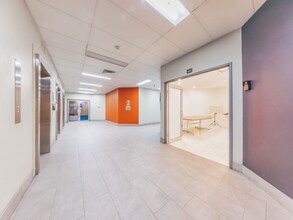 330-370 Wattle St, Ultimo for lease Interior Photo- Image 1 of 7