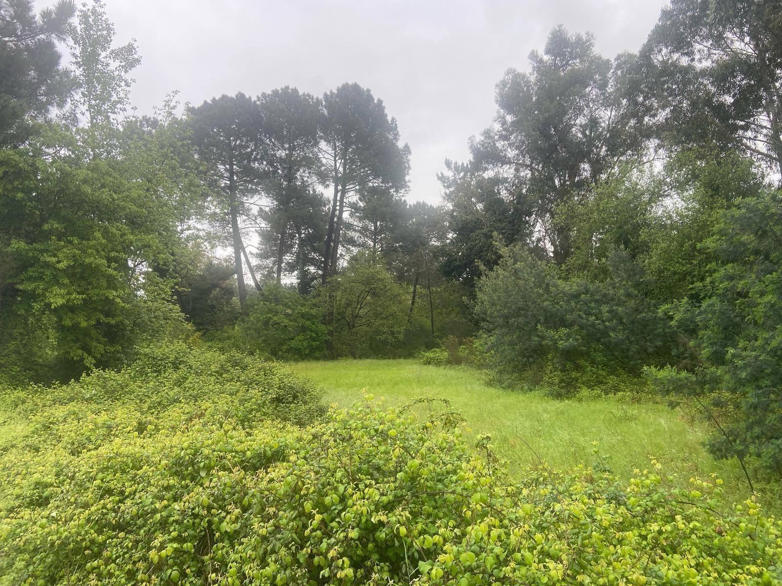 Rúa Marcial Valladares, 11A, Ourense, Orense for sale Building Photo- Image 1 of 8