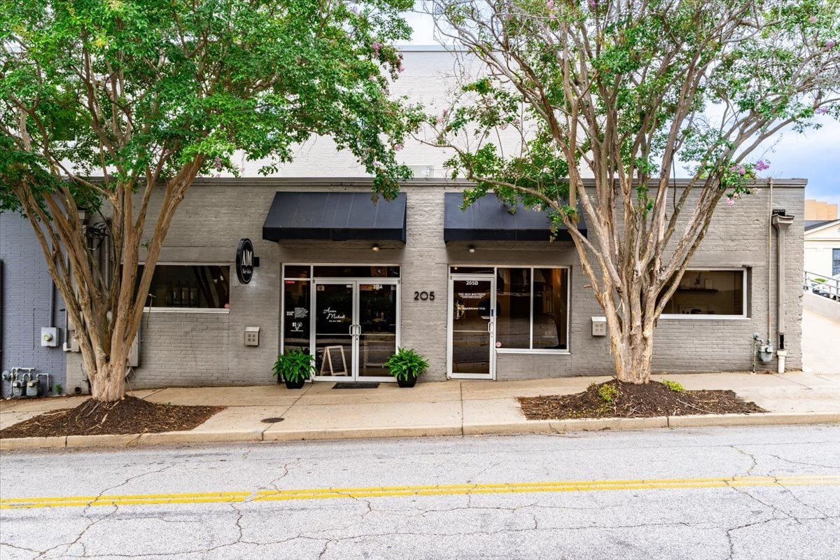 205 N Laurens St, Greenville, SC for lease Primary Photo- Image 1 of 51