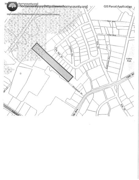 16th Ave & Elizabeth St, Conway, SC à vendre - Photo principale - Image 1 de 2