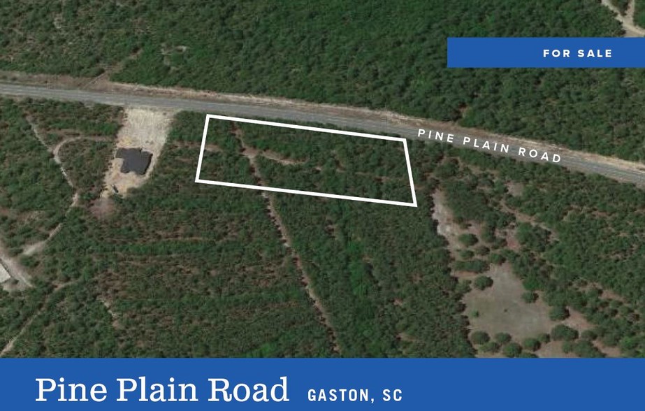 PINE PLAIN Rd, Gaston, SC for sale - Aerial - Image 1 of 1