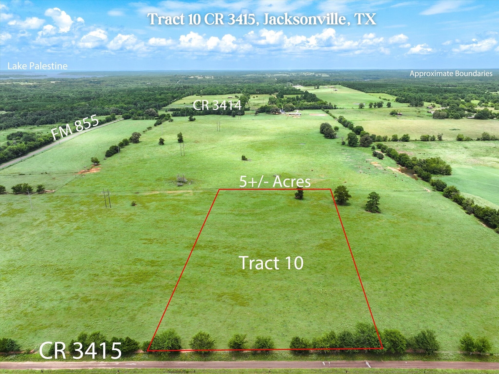 Tract 10 County Road 3415, Jacksonville, TX à vendre Photo principale- Image 1 de 15