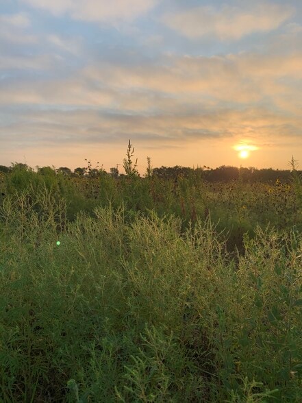 CR4110 CR 4110, Blooming Grove, TX for sale - Primary Photo - Image 1 of 3