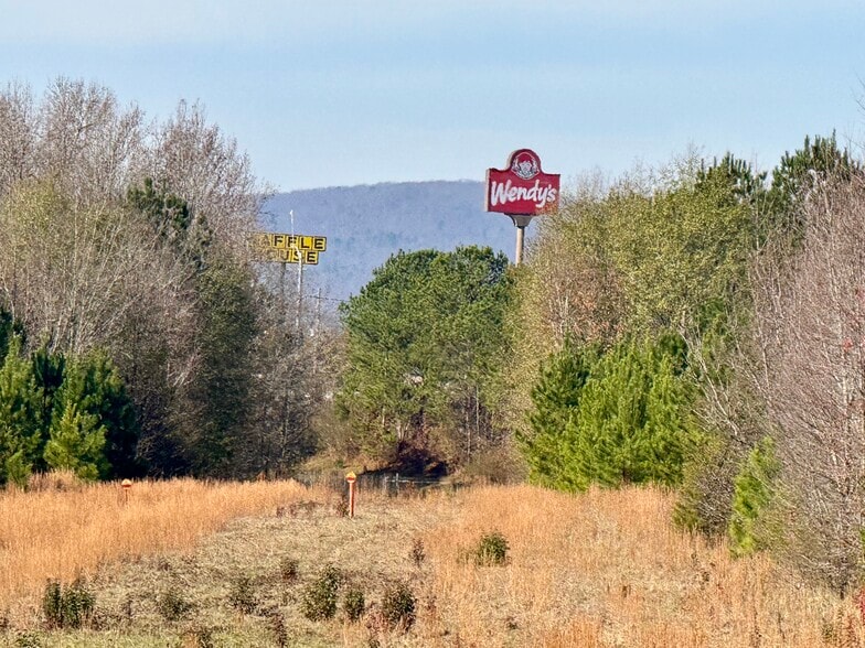 HWY 78 EAST, Oxford, AL for sale - Building Photo - Image 3 of 16