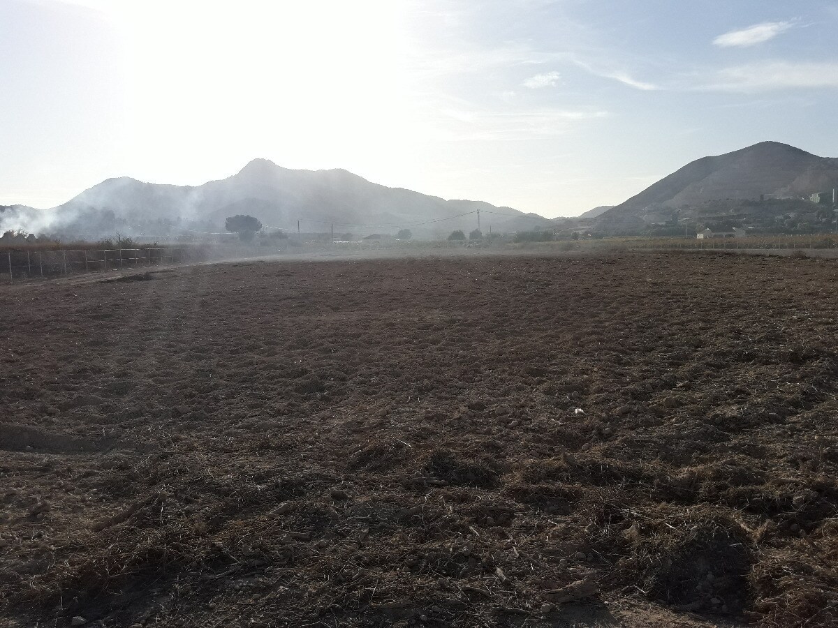 Land in Aspe, Alicante for sale Primary Photo- Image 1 of 5