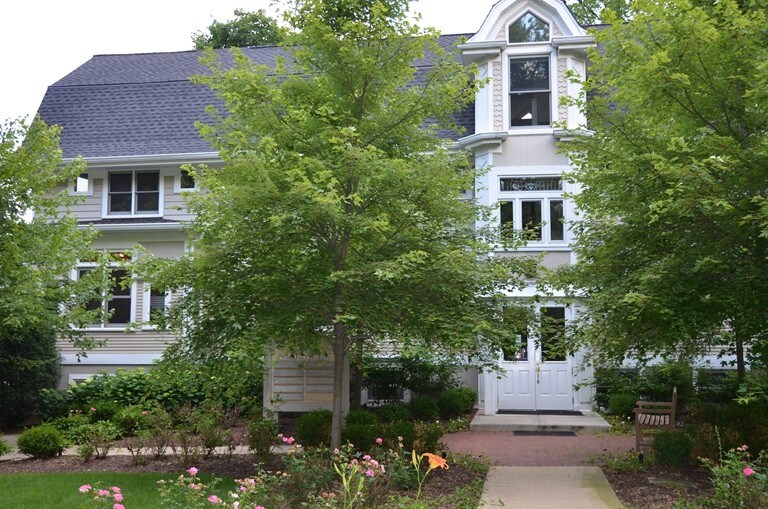 19 N Grant St, Hinsdale, IL à louer - Photo du bâtiment - Image 2 de 12