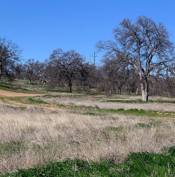 34 Acres Monroe Ave, Red Bluff, CA for sale - Construction Photo - Image 3 of 3