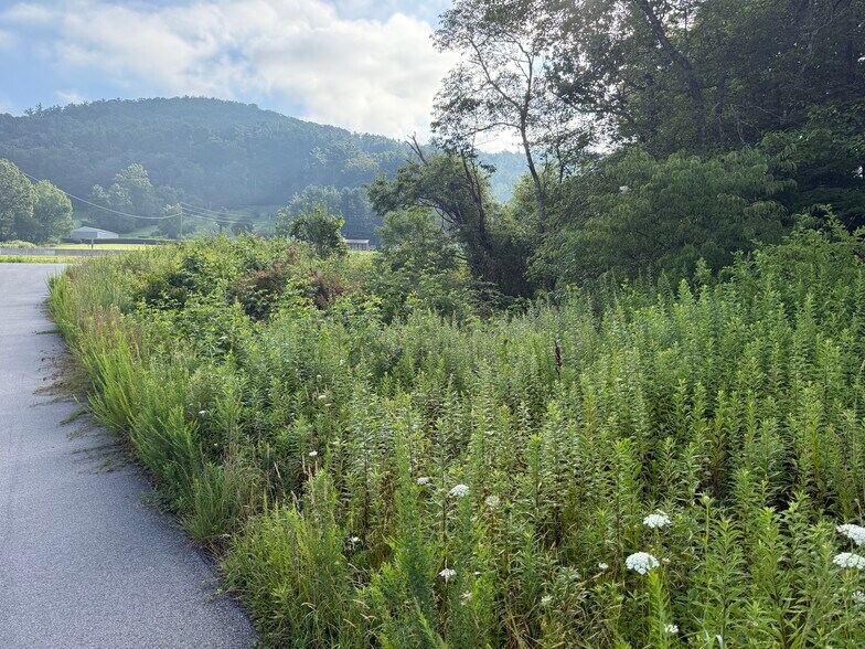 TBD Deep Gap Drive, Deep Gap, NC à vendre - Photo du bâtiment - Image 3 de 11