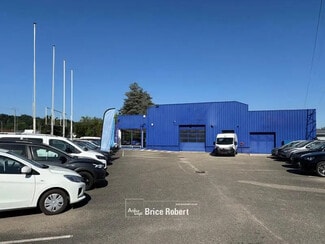 Plus de détails pour Flex à vendre