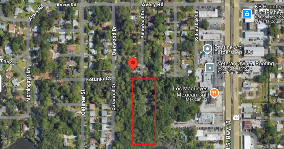 Pinewood Dr, New Port Richey, FL à vendre - Photo du bâtiment - Image 3 de 7