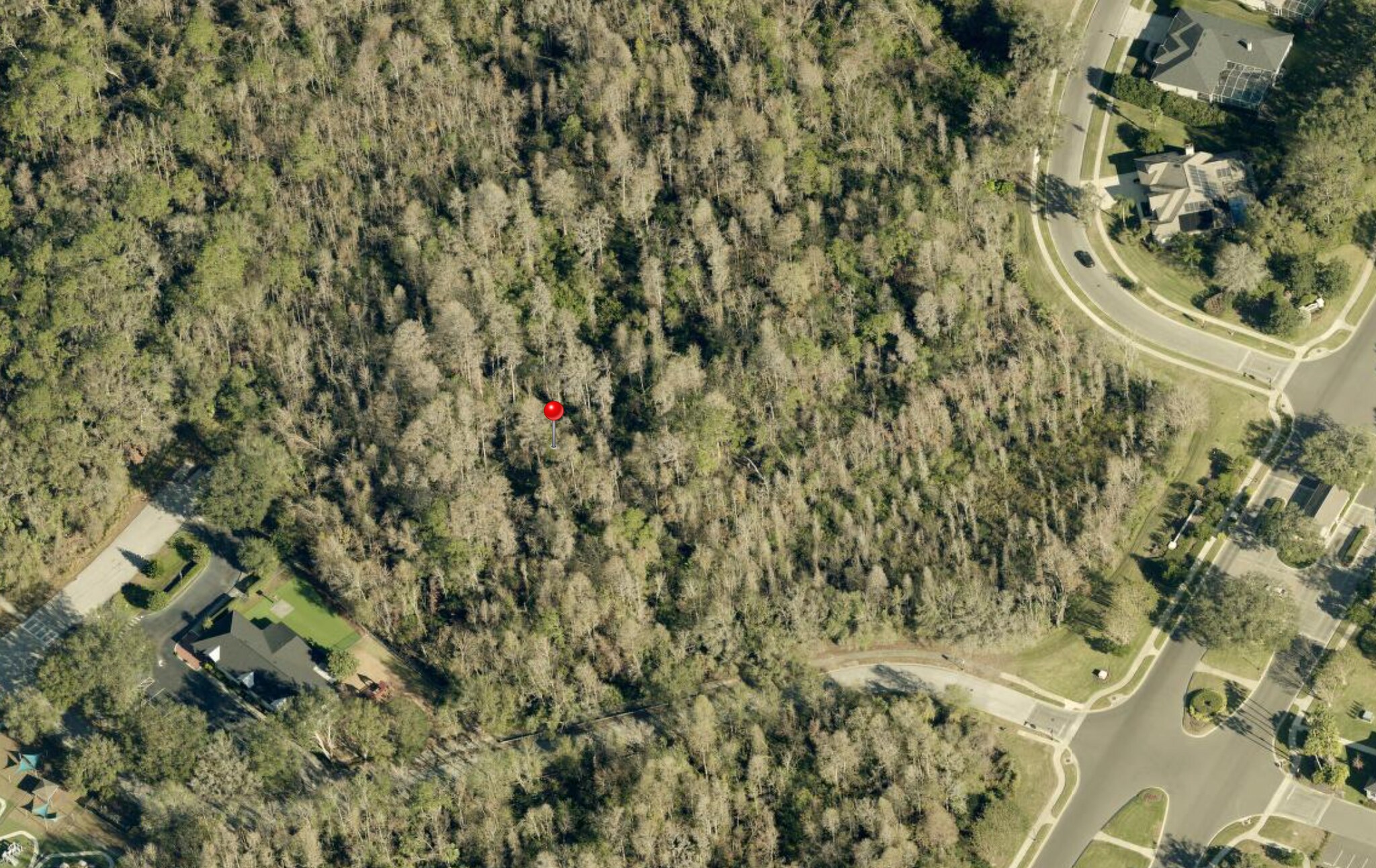 Lynx Paw Trail, Valrico, FL à vendre Photo du bâtiment- Image 1 de 1