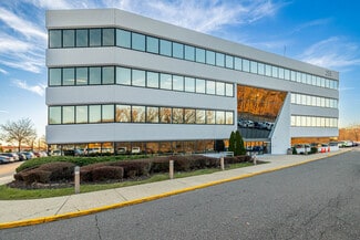 More details for 255 Executive Dr, Plainview, NY - Office for Lease