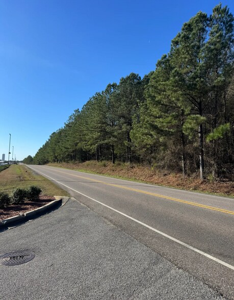 53 Acres On George Roy Pky, Calera, AL for sale - Other - Image 3 of 10