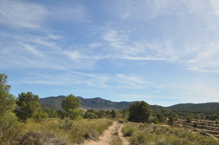 Terrain dans Jumilla, Murcia à vendre - Aérien - Image 3 de 23