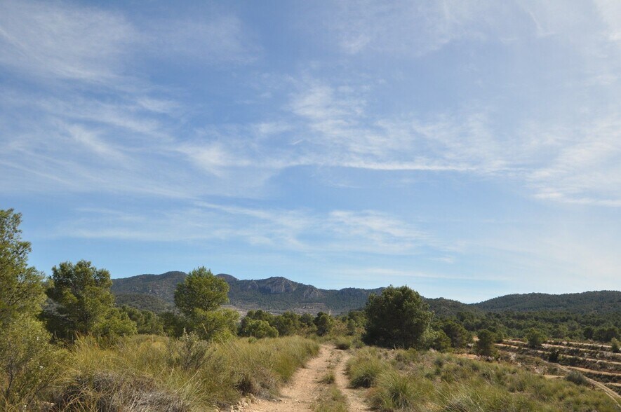 Terrain dans Jumilla, Murcia à vendre - Aérien - Image 3 de 23