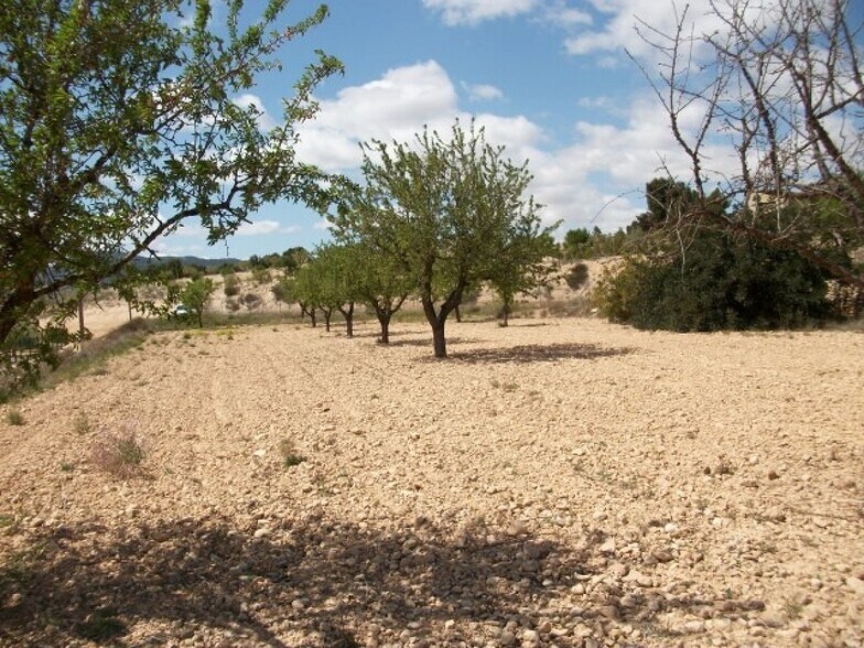 Terrain dans MONÒVER, Alicante à vendre - Plan de site - Image 3 de 3