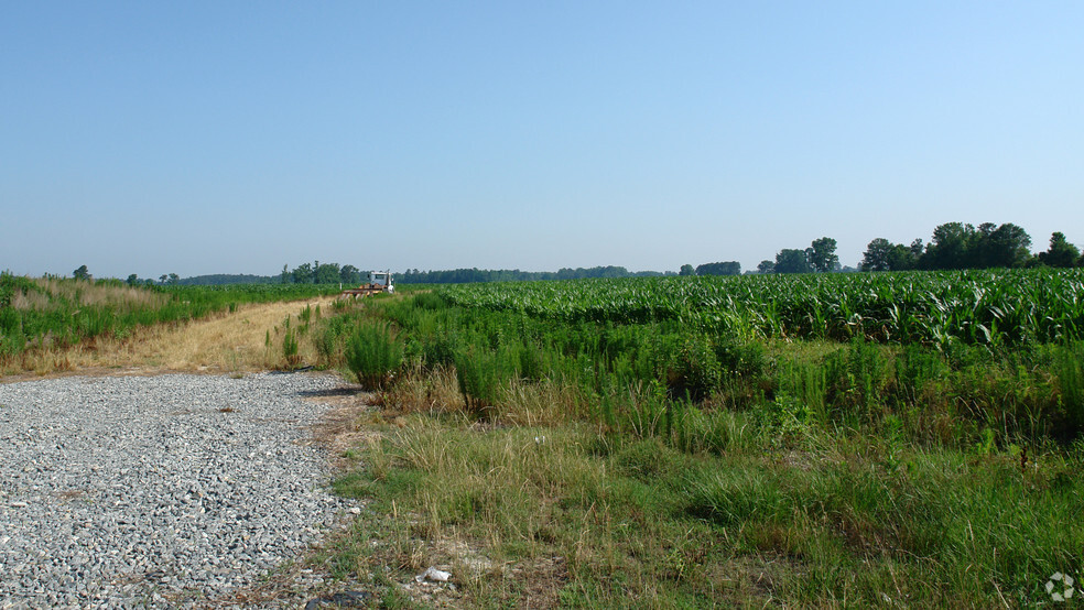 000 W NC Hwy 55, Mount Olive, NC for sale - Primary Photo - Image 1 of 4