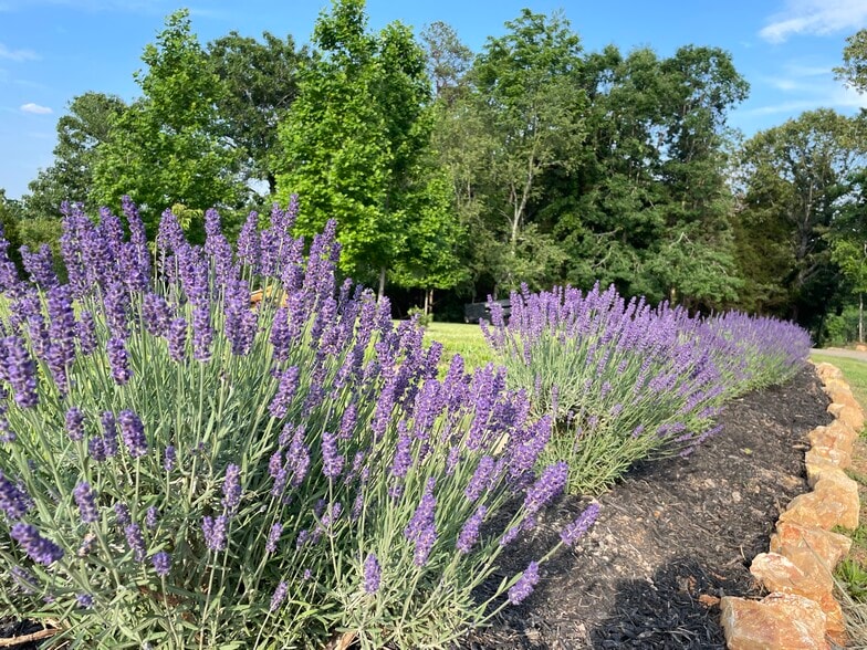 361 County Road 170, Athens, TN for sale - Building Photo - Image 2 of 28