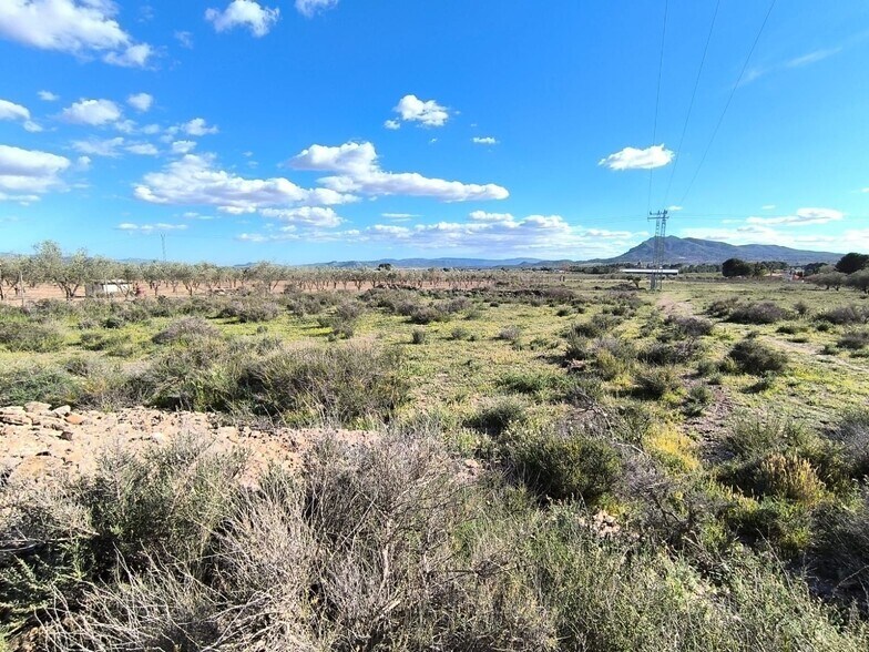 Land in Caudete, Albacete for sale - Site Plan - Image 3 of 5