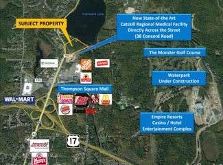 Plus de détails pour Route 42, Monticello, NY - Terrain à vendre