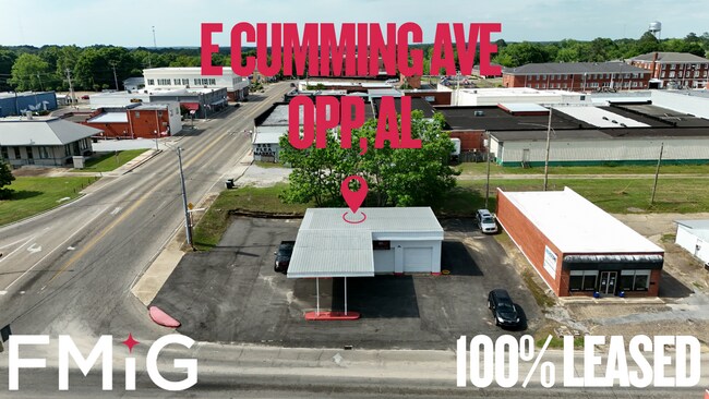 Plus de détails pour 101 E Cumming Ave, Opp, AL - Flex à vendre