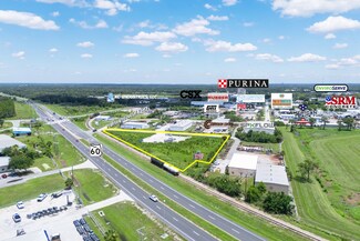 Plus de détails pour Peerless Rd, Mulberry, FL - Terrain à vendre