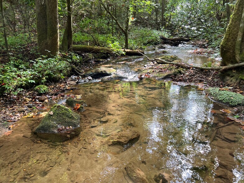 Zion Hill Road, Ellijay, GA for sale - Building Photo - Image 1 of 13