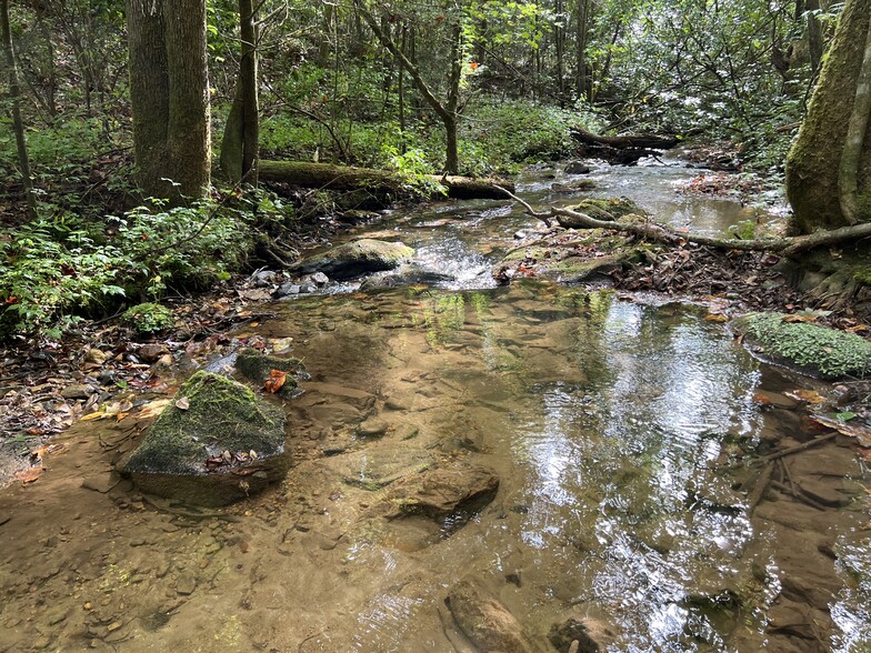 Zion Hill Road, Ellijay, GA à vendre - Photo du bâtiment - Image 1 de 13