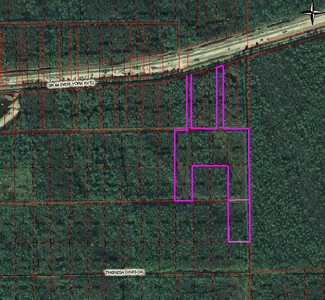 Plus de détails pour SR 44 Ave, Lake Helen, FL - Terrain à vendre