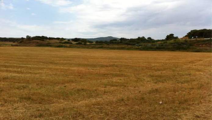 Land in Terrassa, Barcelona for sale - Building Photo - Image 2 of 7