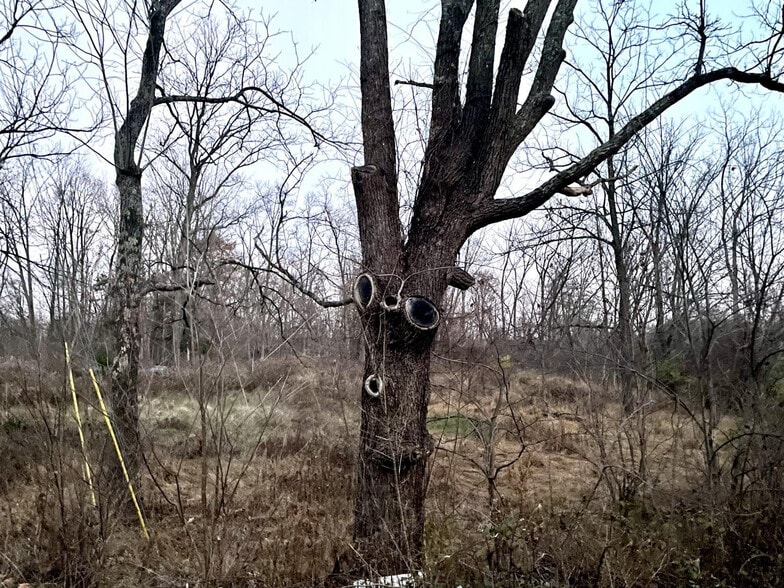 13022 Route 9W, West Coxsackie, NY for sale - Building Photo - Image 2 of 8